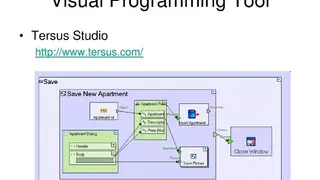 Tersus Studio screenshot