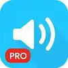 Text to Speech Pro