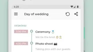 The Big Day screenshot