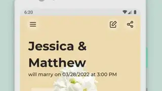 The Big Day screenshot