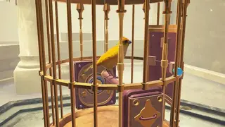 The Birdcage screenshot