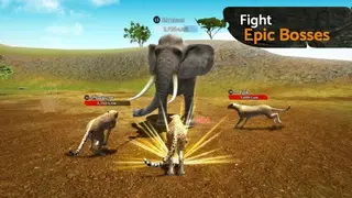 The Cheetah screenshot