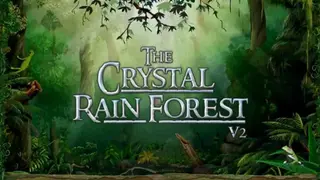 The Crystal Rainforest screenshot