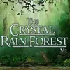 The Crystal Rainforest