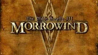 The Elder Scrolls III: Morrowind screenshot