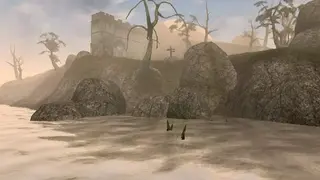The Elder Scrolls III: Morrowind screenshot