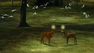 The Endless Forest screenshot