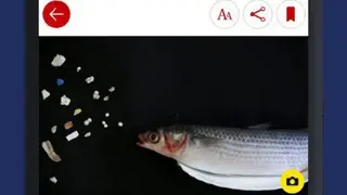 The Guardian screenshot