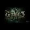 The Guild 3