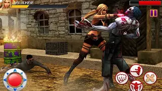 The King of Kung Fu Fighting screenshot