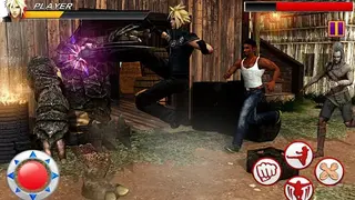 The King of Kung Fu Fighting screenshot