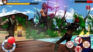 The King of Kung Fu Fighting screenshot