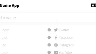 The Name App screenshot