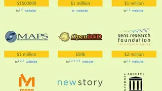The Pineapple Fund screenshot