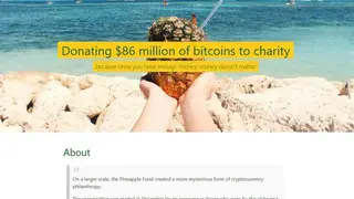 The Pineapple Fund screenshot