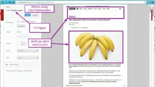 The Printliminator screenshot