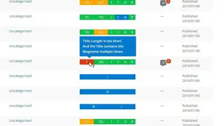 The SEO Framework screenshot