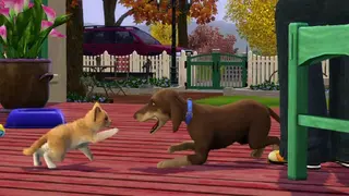 The Sims 3 Pets screenshot