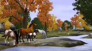 The Sims 3 Pets screenshot