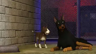 The Sims 3 Pets screenshot