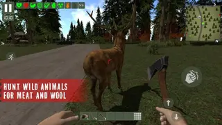 The Survivor: Rusty Forest screenshot