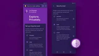 The Tor Browser screenshot