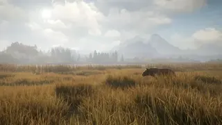 theHunter: Call of the Wild screenshot