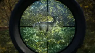 theHunter: Call of the Wild screenshot