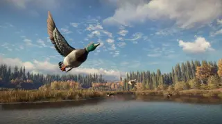 theHunter: Call of the Wild screenshot