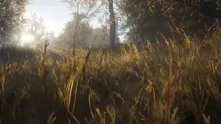 theHunter: Call of the Wild screenshot