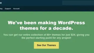 Theme Junkie screenshot