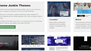 Theme Junkie screenshot