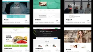 Themefisher screenshot