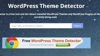 Themesinfo WordPress Theme Detector screenshot