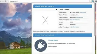 Themesinfo WordPress Theme Detector screenshot