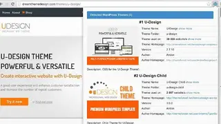 Themesinfo WordPress Theme Detector screenshot