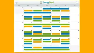 TherapyNotes screenshot