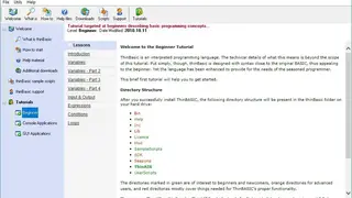 thinBasic Programming Language screenshot