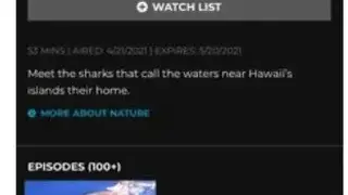 THIRTEEN screenshot
