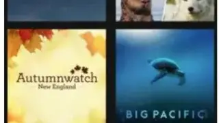 THIRTEEN screenshot