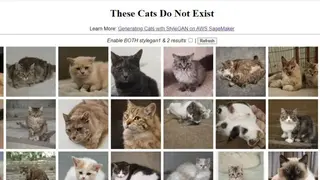 This Cat Does Not Exist screenshot