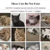 This Cat Does Not Exist