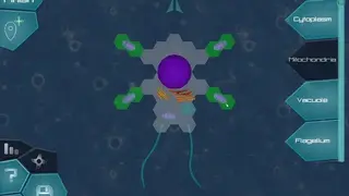 Thrive screenshot
