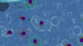 Thrive screenshot