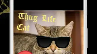Thug Life Stickers screenshot