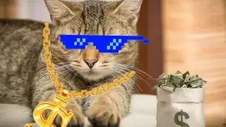 Thug Life Stickers screenshot