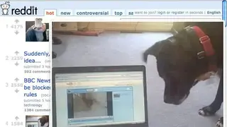 Thumbnail Zoom Plus screenshot