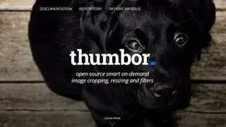 Thumbor screenshot