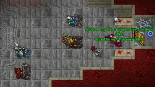 Tibia screenshot