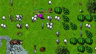 Tibia screenshot